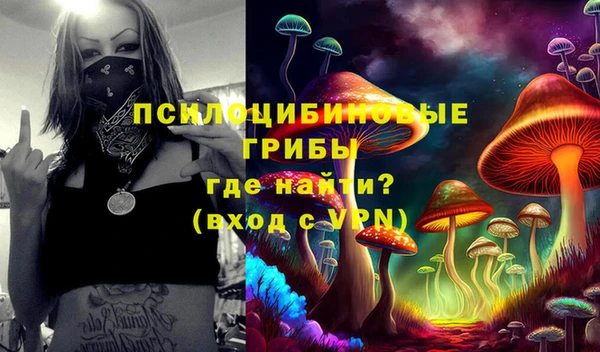 мяу мяу мука Абинск