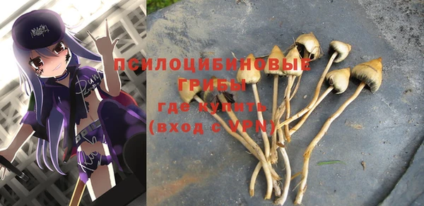 марки nbome Абаза